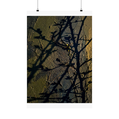 Golden Hour Shadow Play Wall Art Print - Dark Japandi Kanso Art Print