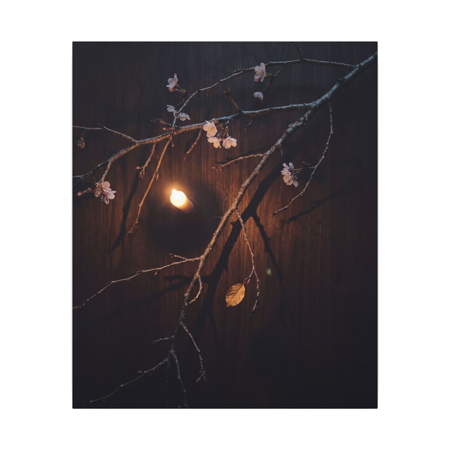 Datsuzoku Cherry Blossom Canvas Art - Dark Japandi Moody Minimal