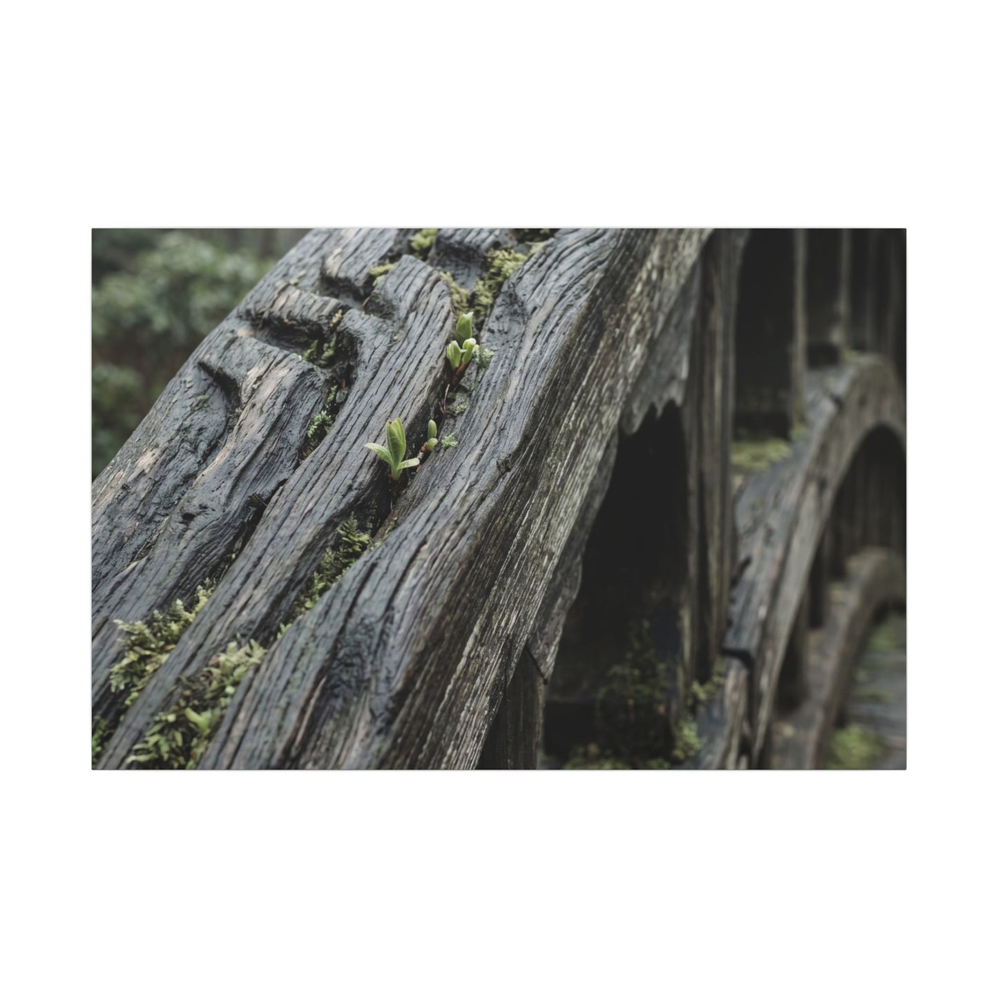 Overcast Wooden Bridge Canvas Art - Japandi Kanso Art Print