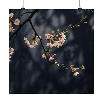 Dappled Cherry Blossom Wall Art Print - Dark Japandi Ma