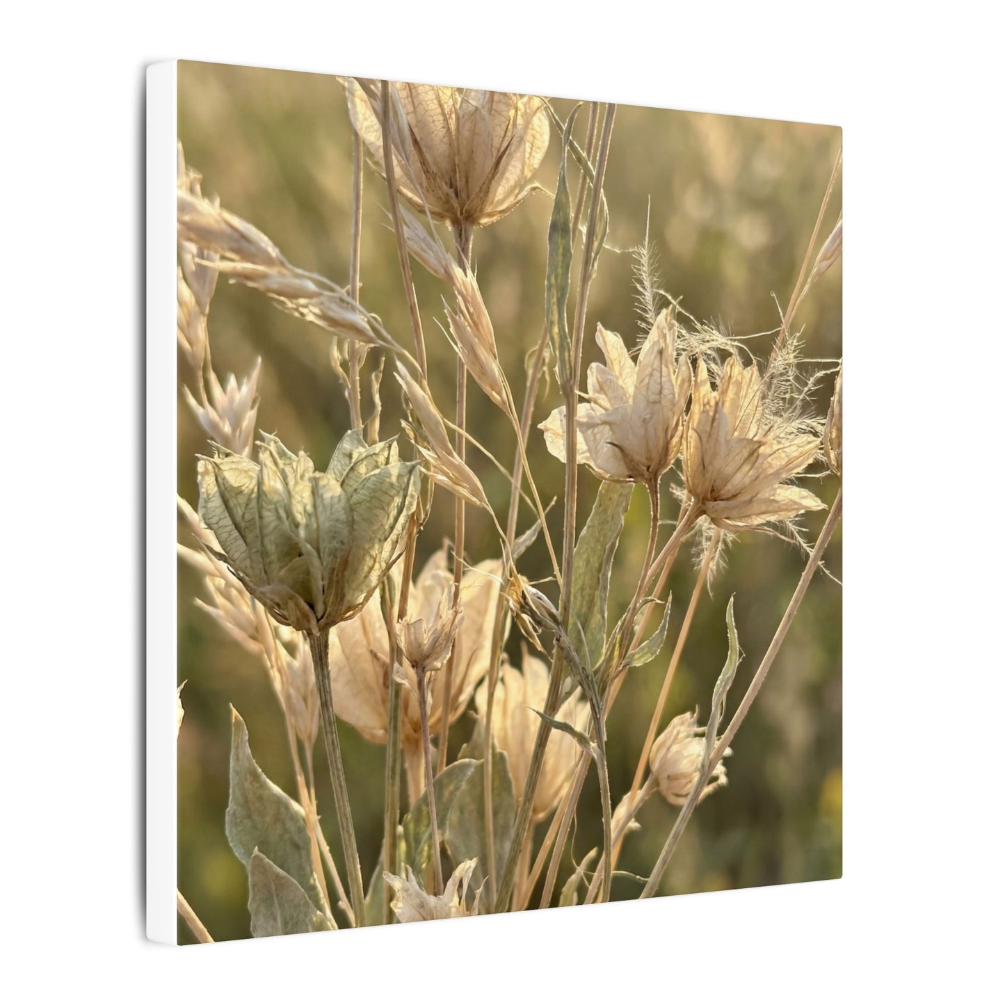 Summer Dried Flowers Minimal Line Canvas Art | Cozy Decor