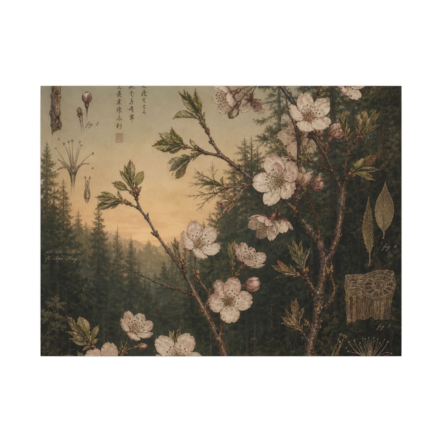 Spring Cherry Blossom Herbarium Canvas Art | Nostalgic Decor