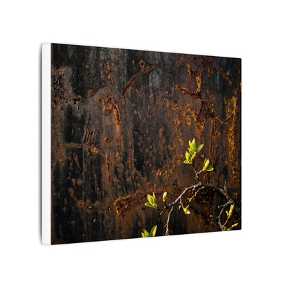 Golden Hour Rust Patina Canvas Art - Dark Japandi Fukinsei