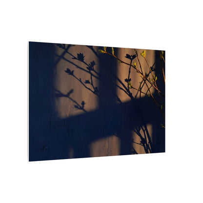 Shadow Play Canvas Art | Spring Dark Japandi Shadow Zen Art