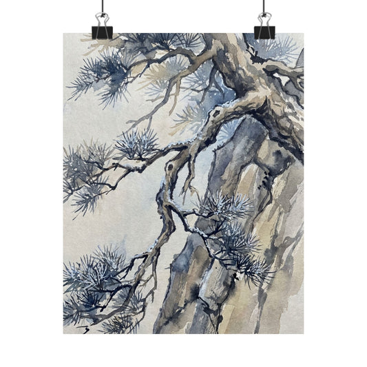 Seijaku Pine Tree Wall Art Print - Japandi Watercolor