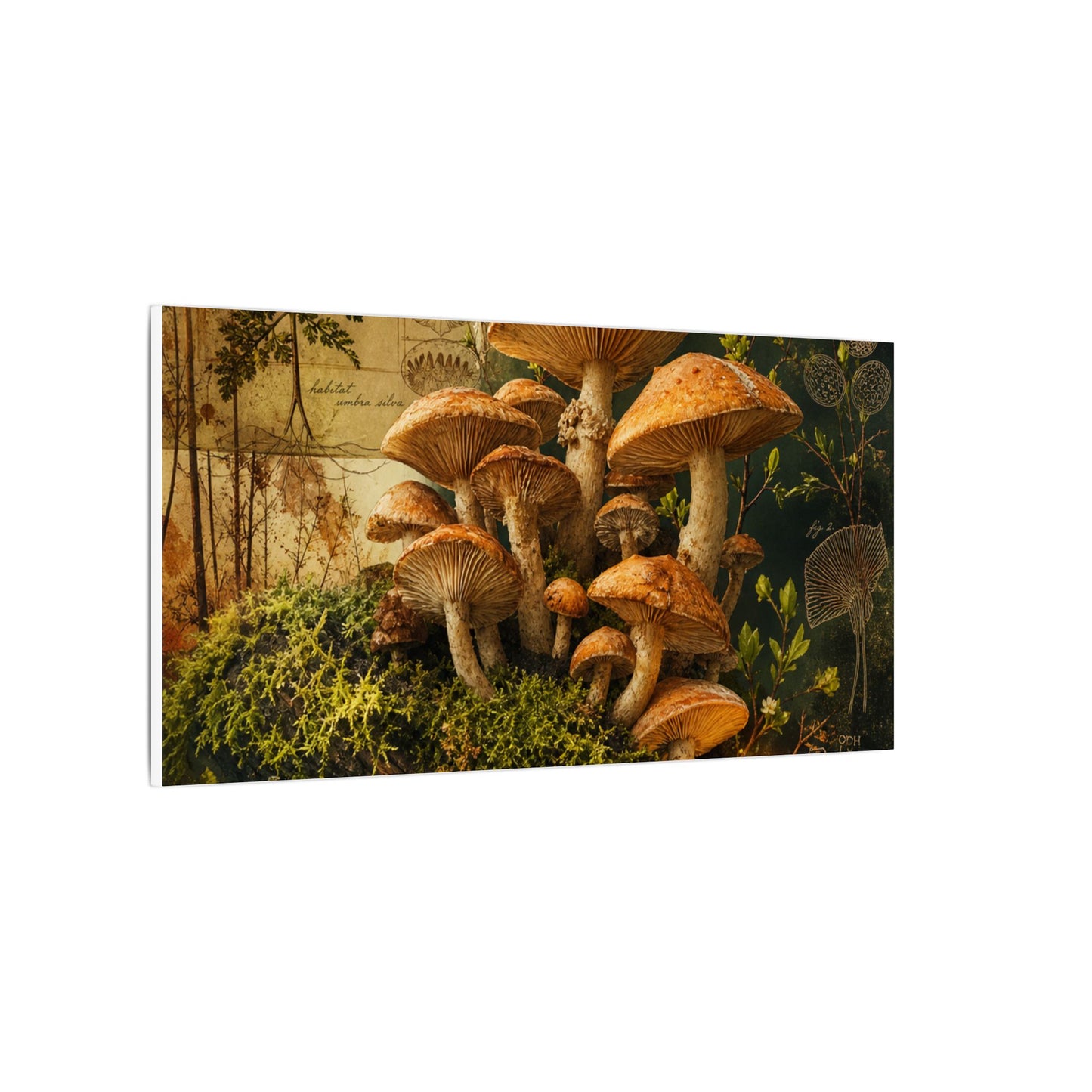 Spring Wild Mushrooms Herbarium Canvas Art | Earthy Decor