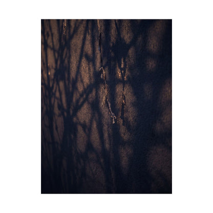 Golden Hour Shadow Play Wall Art Print - Dark Japandi Mono No Aware