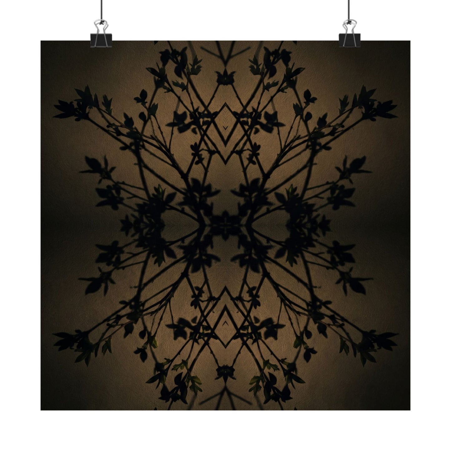 Shadow Play Wall Art Print | Spring Dark Japandi Shadow Zen Art