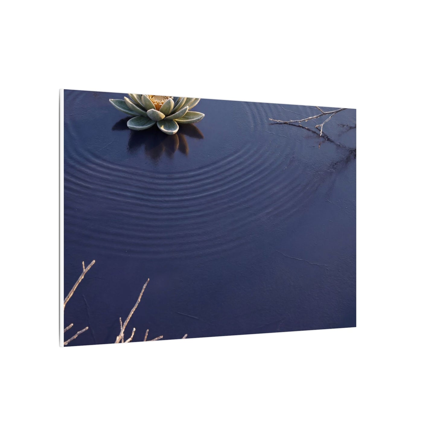 Lotus Flower Canvas Art | Winter Zen Karesansui Art