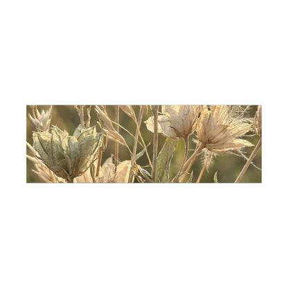 Summer Dried Flowers Minimal Line Canvas Art | Cozy Decor