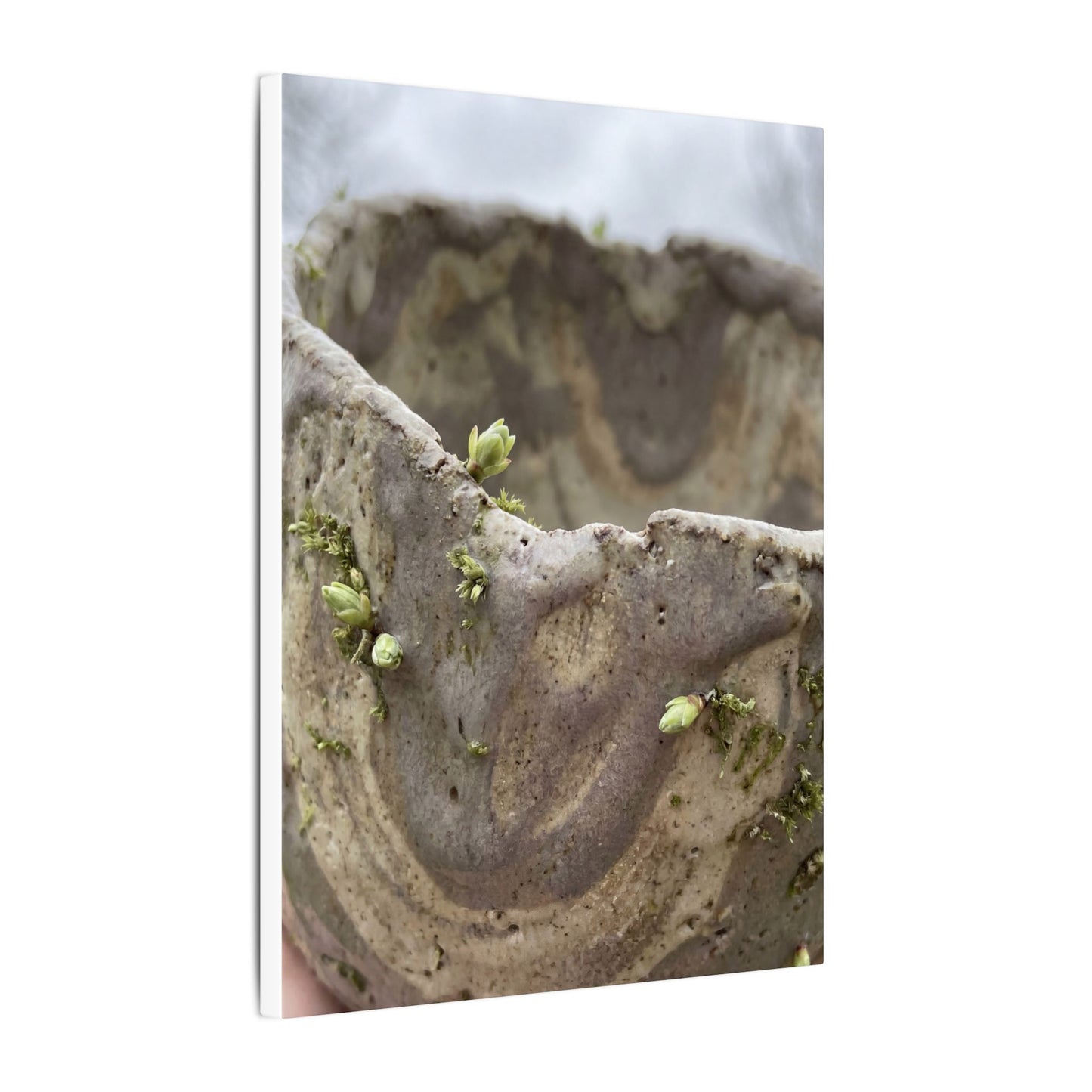 Overcast Ceramic Bowl Canvas Art - Japandi Fukinsei