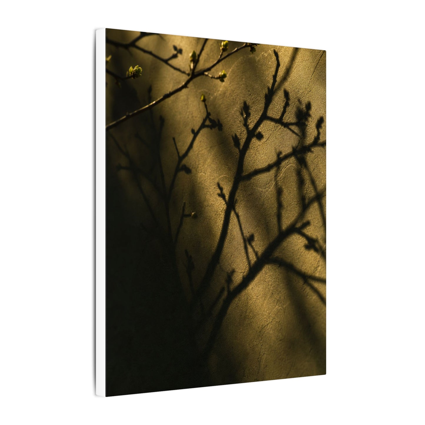 Golden Hour Shadow Play Canvas Art - Dark Japandi Seijaku