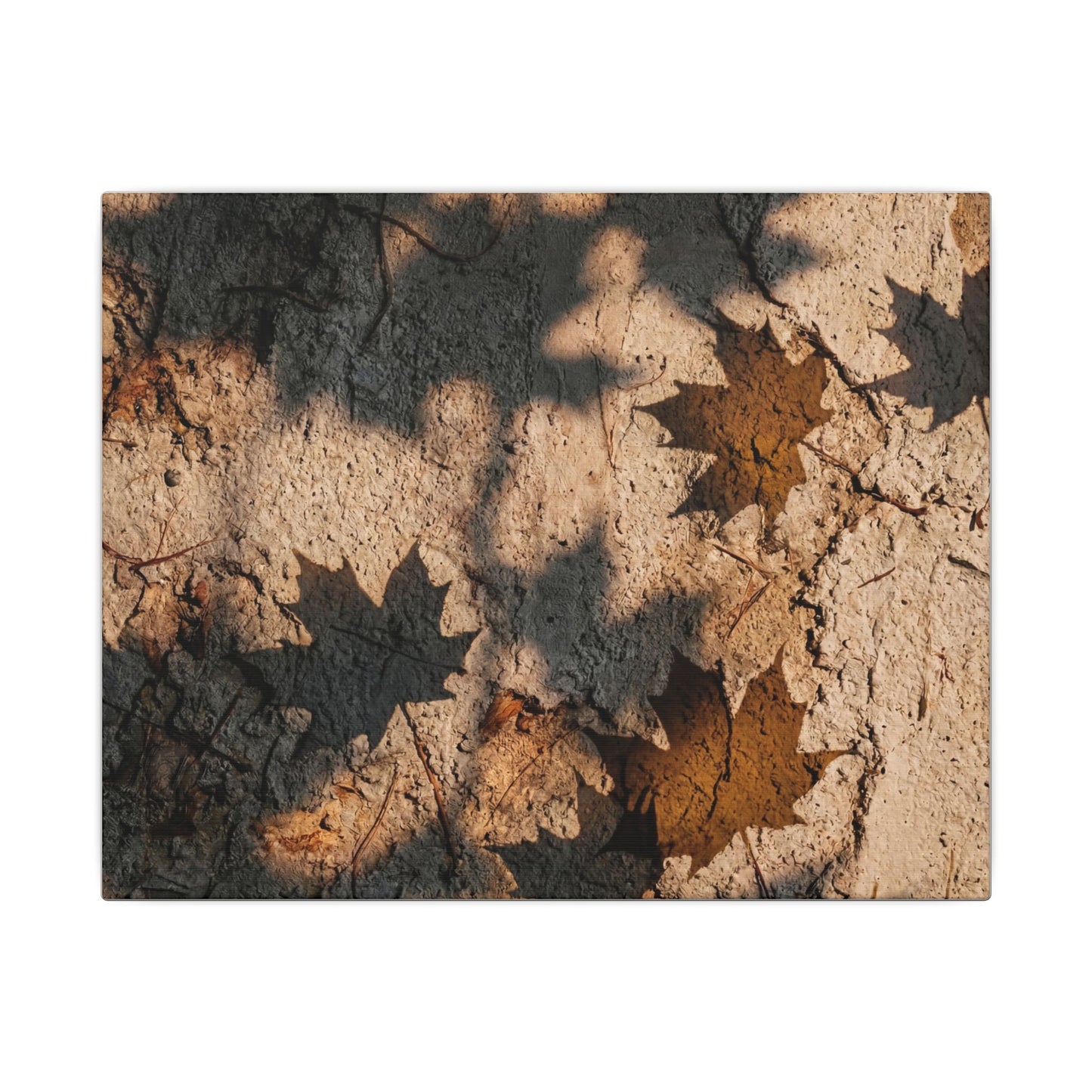 Cozy Shadow Play Canvas Art - Texture Japandi