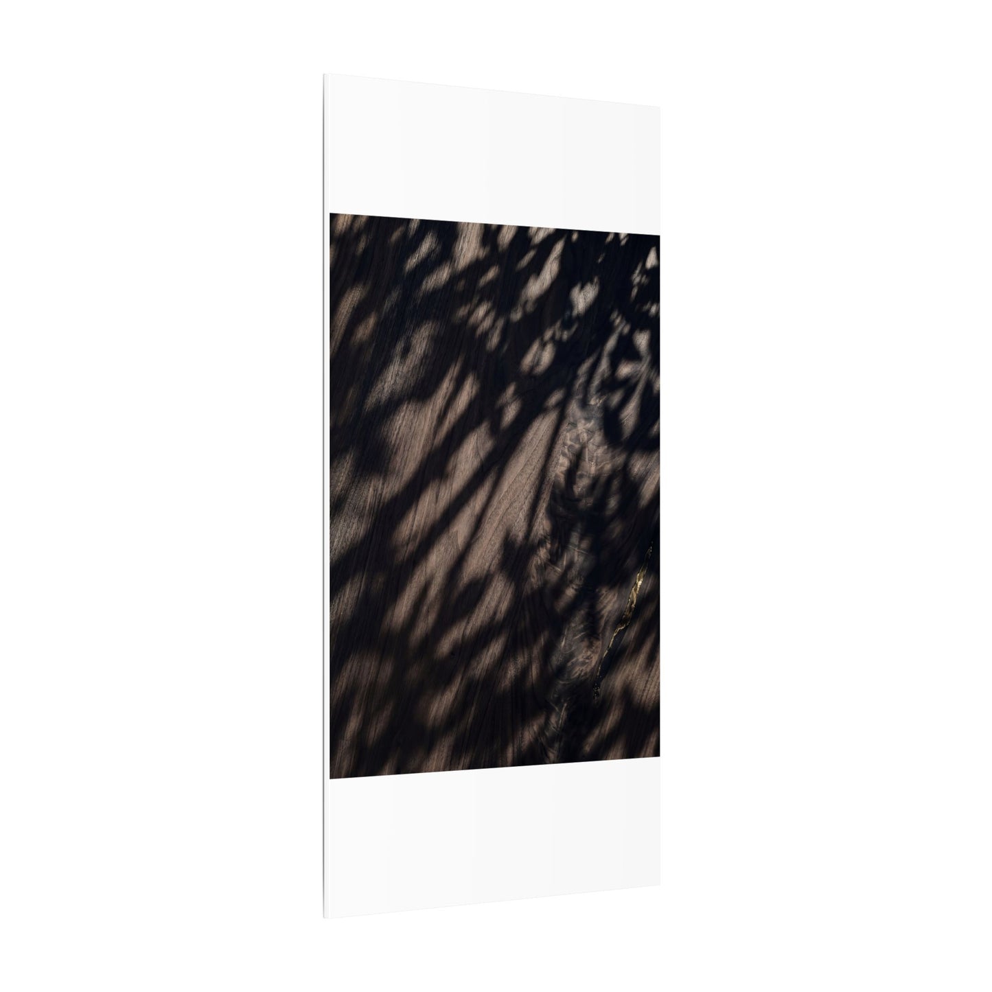 Shadow Play Summer Canvas Art | Dark Japandi Moody Design