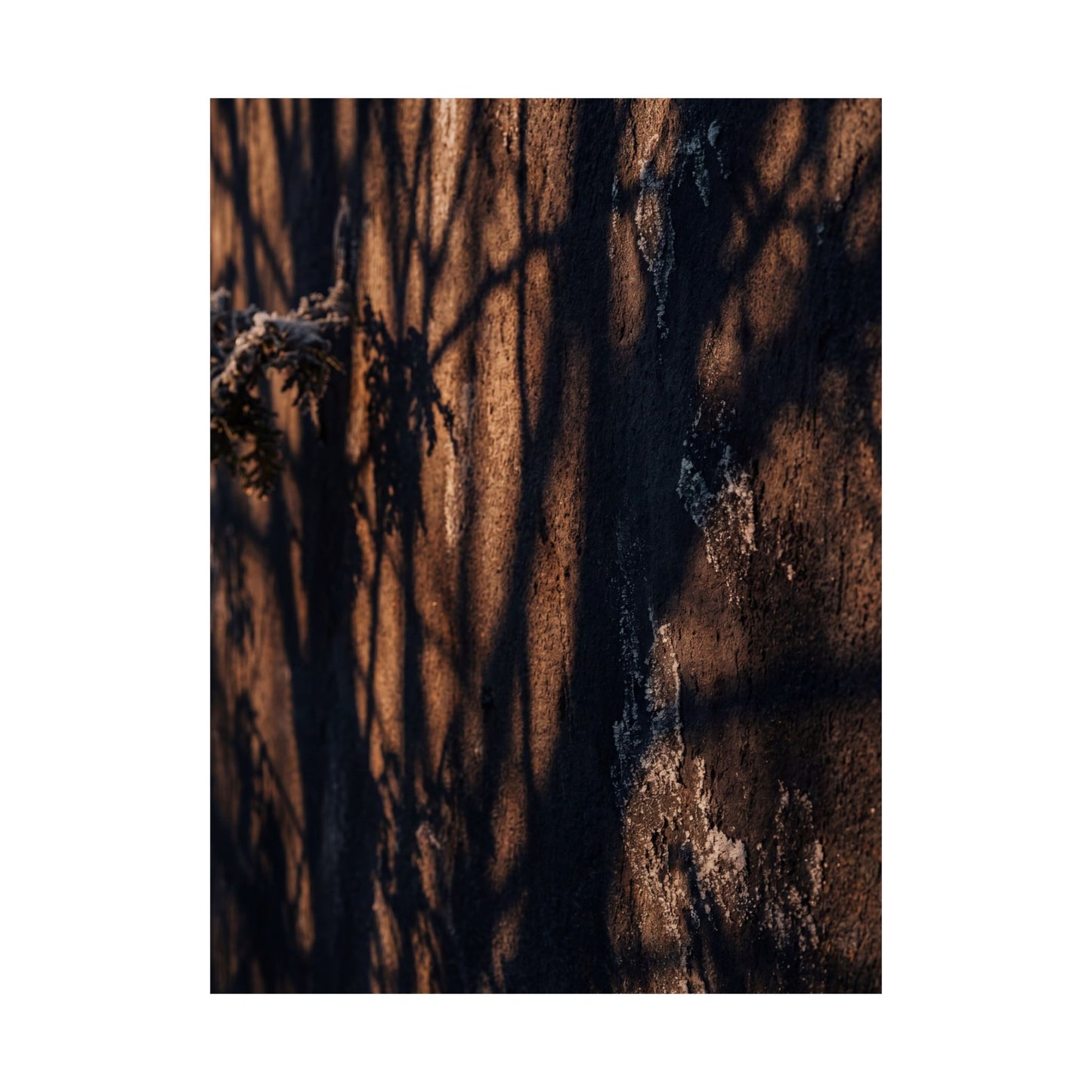 Shadow Play Wall Art Print | Winter Dark Japandi Moody Minimal Art