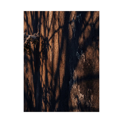 Shadow Play Wall Art Print | Winter Dark Japandi Moody Minimal Art