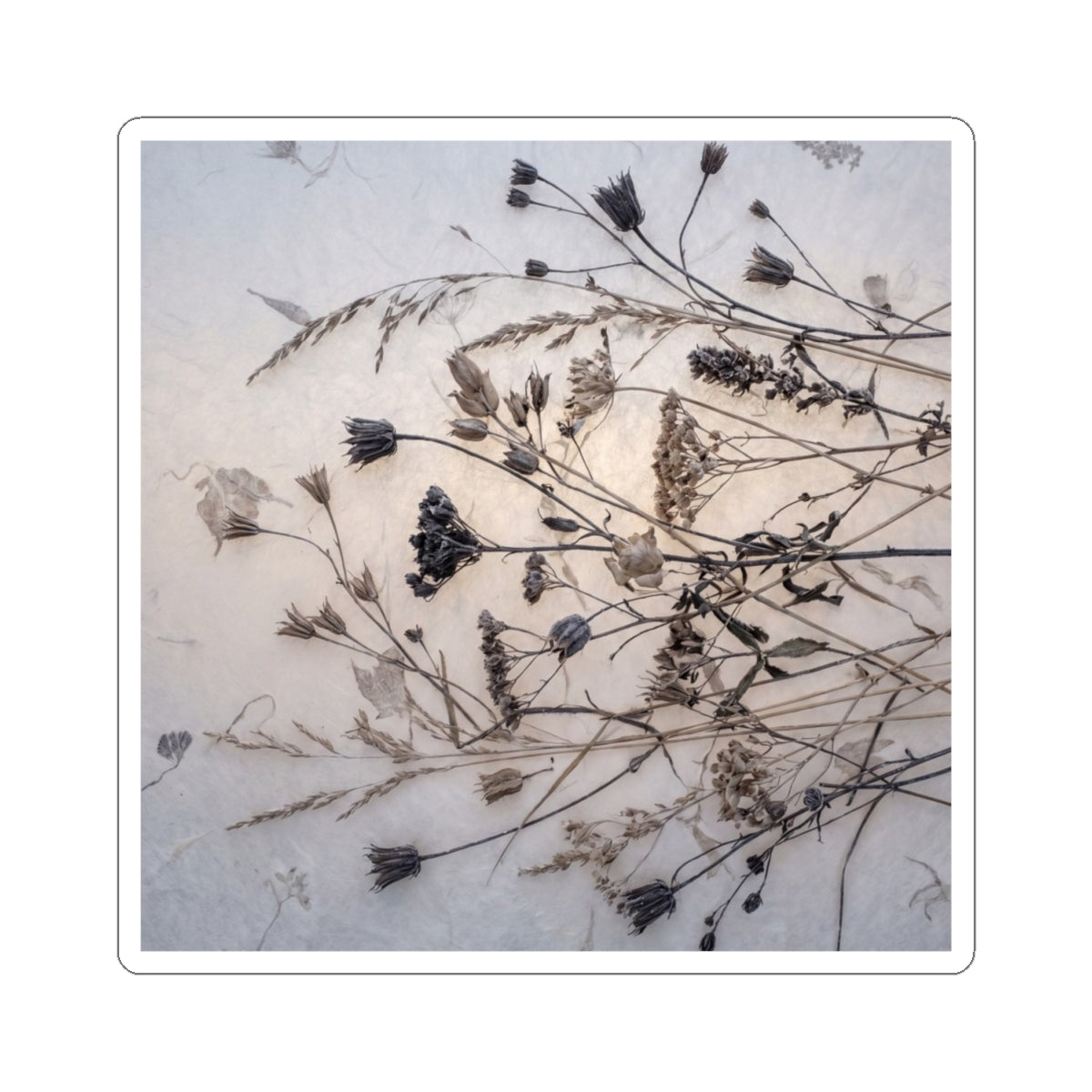 Japandi Dried Flowers in Dawn | Japanese Pattern Sticker Art Print