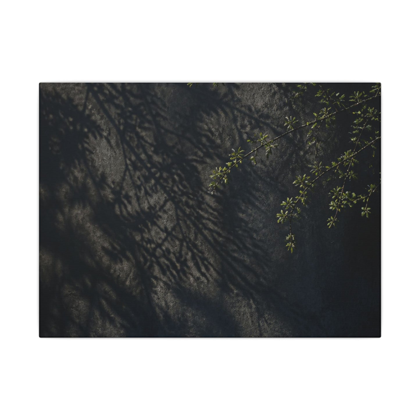 Overcast Shadow Play Canvas Art - Dark Japandi Seijaku