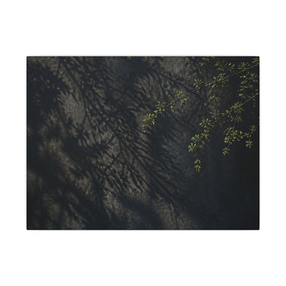 Overcast Shadow Play Canvas Art - Dark Japandi Seijaku