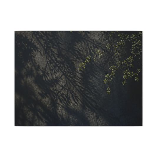 Overcast Shadow Play Canvas Art - Dark Japandi Seijaku