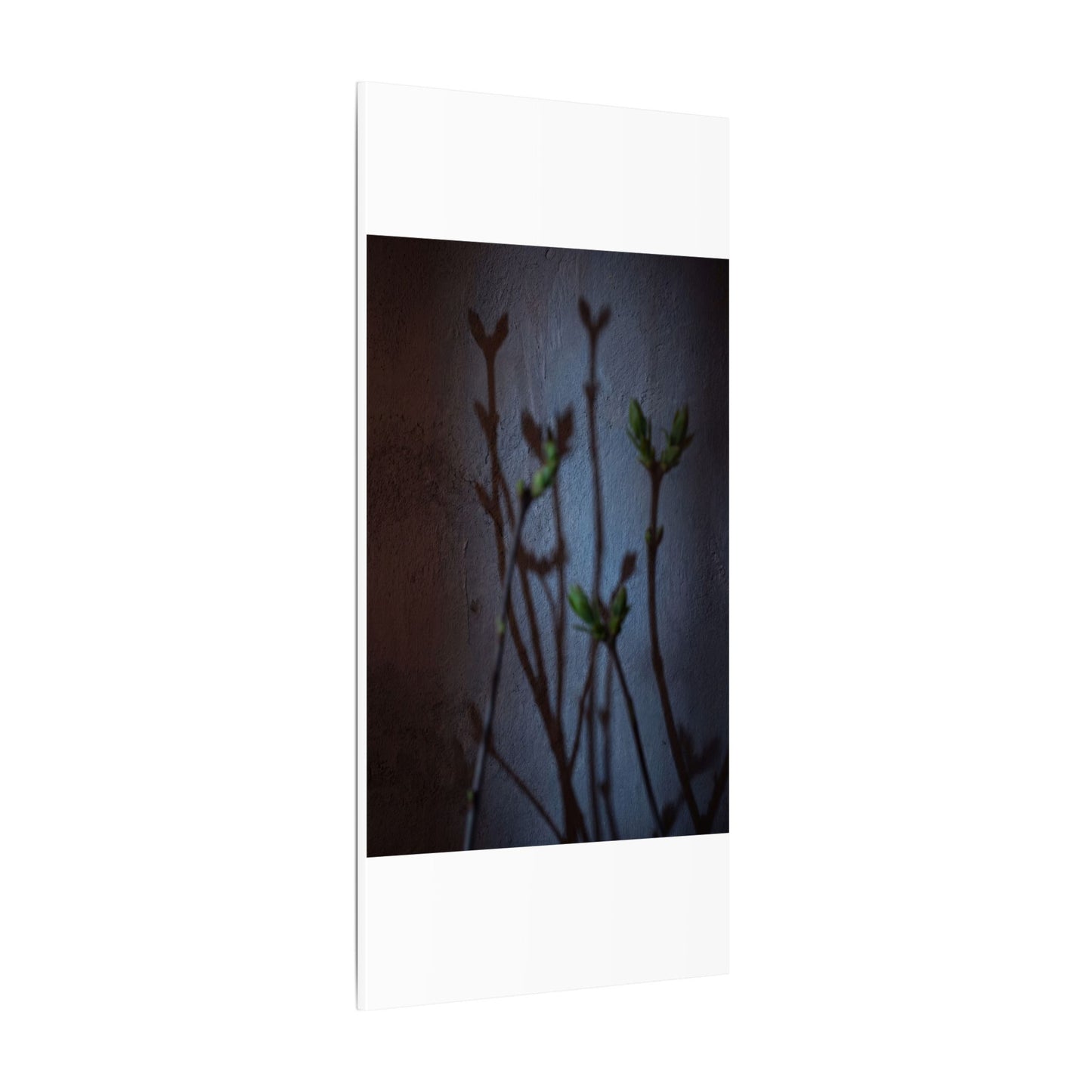 Shadow Play Spring Canvas Art | Dark Japandi Sophisticated Design