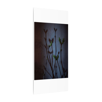 Shadow Play Spring Canvas Art | Dark Japandi Sophisticated Design
