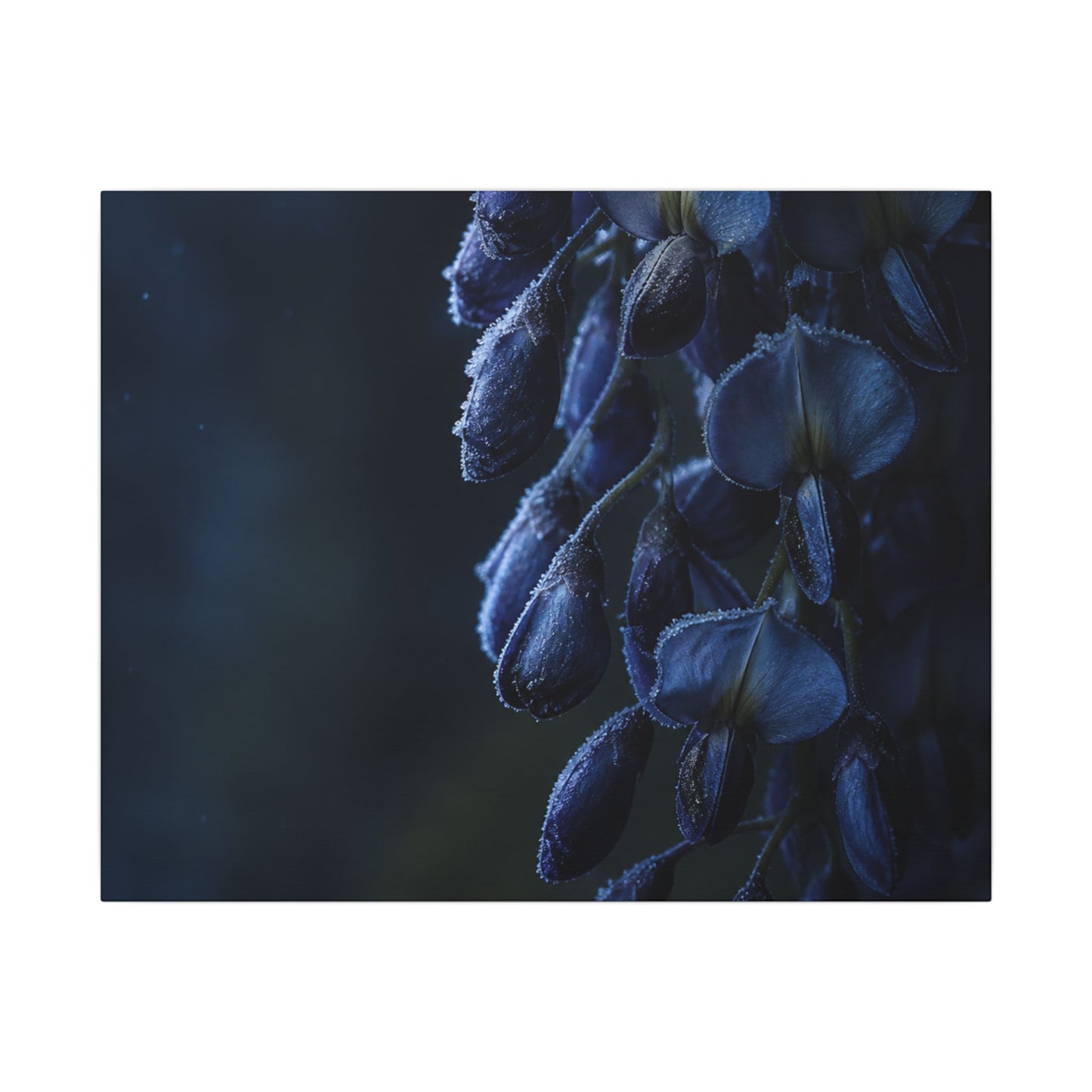 Winter Wisteria Shadow Zen Canvas Art | Atmospheric Decor