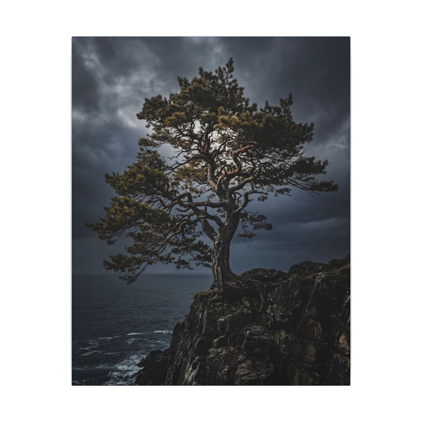 Dappled Pine Tree Canvas Art - Dark Japandi Fukinsei