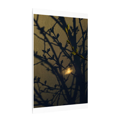 Bold Shadow Play Canvas Art - Moody Minimal Dark Japandi