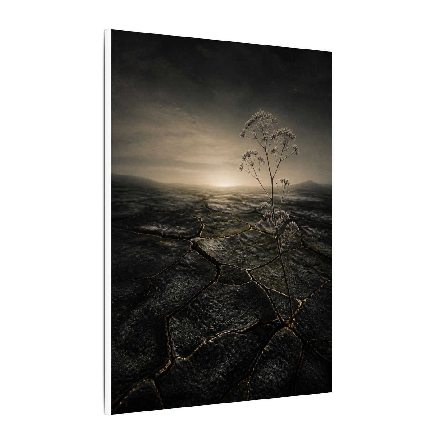 Dawn Cracked Earth Canvas Art - Dark Japandi Mono No Aware