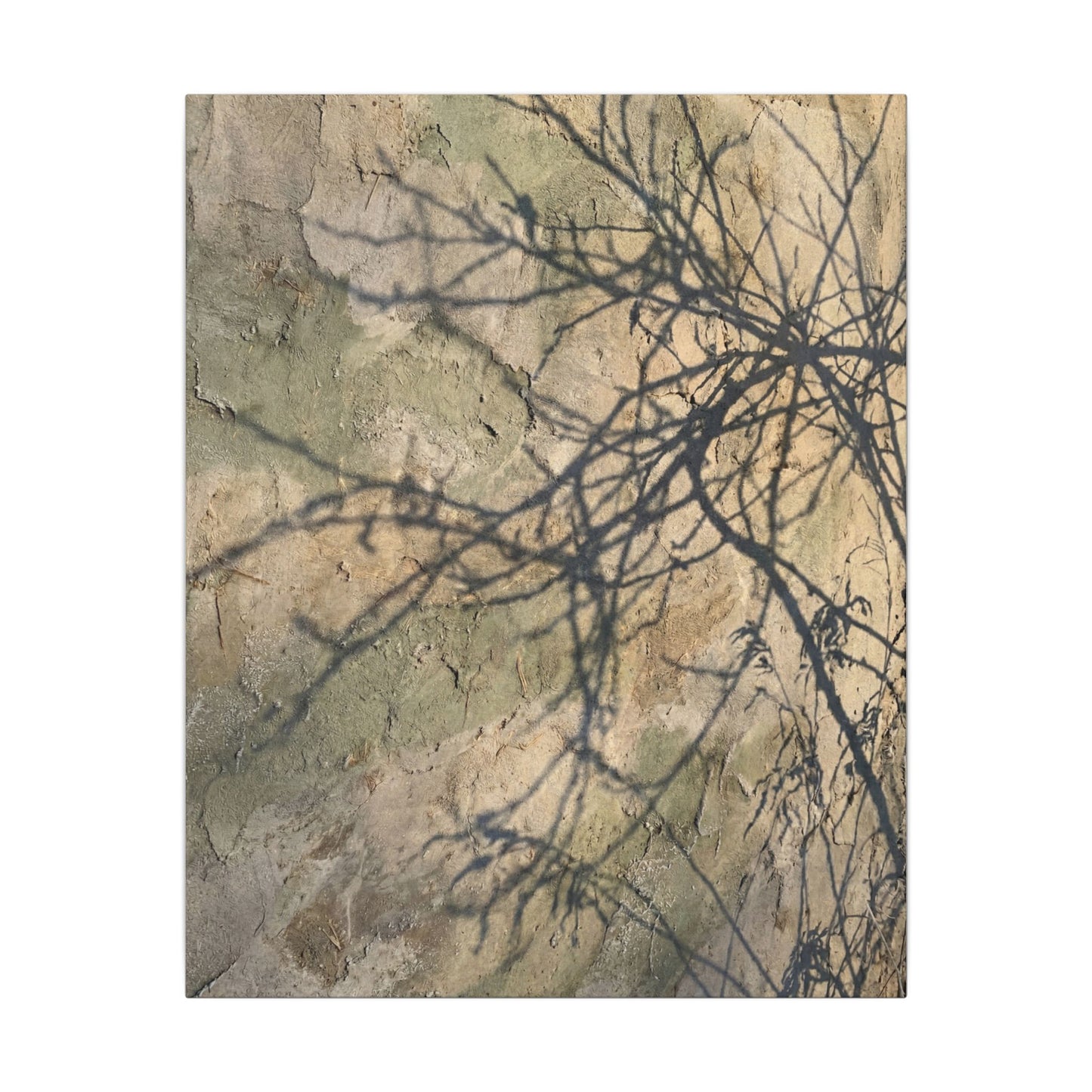 Japandi Shadow Play in Golden Hour | Texture Canvas Art