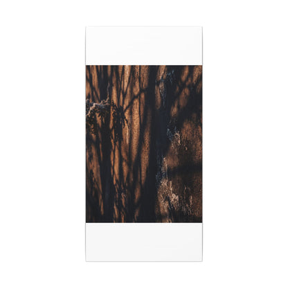 Golden Hour Shadow Play Canvas Art - Dark Japandi Fukinsei