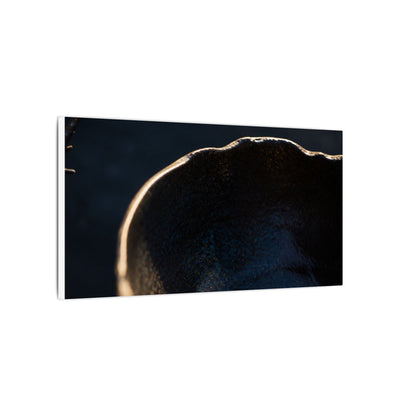Ma Ceramic Bowl Canvas Art - Dark Japandi Shadow Zen