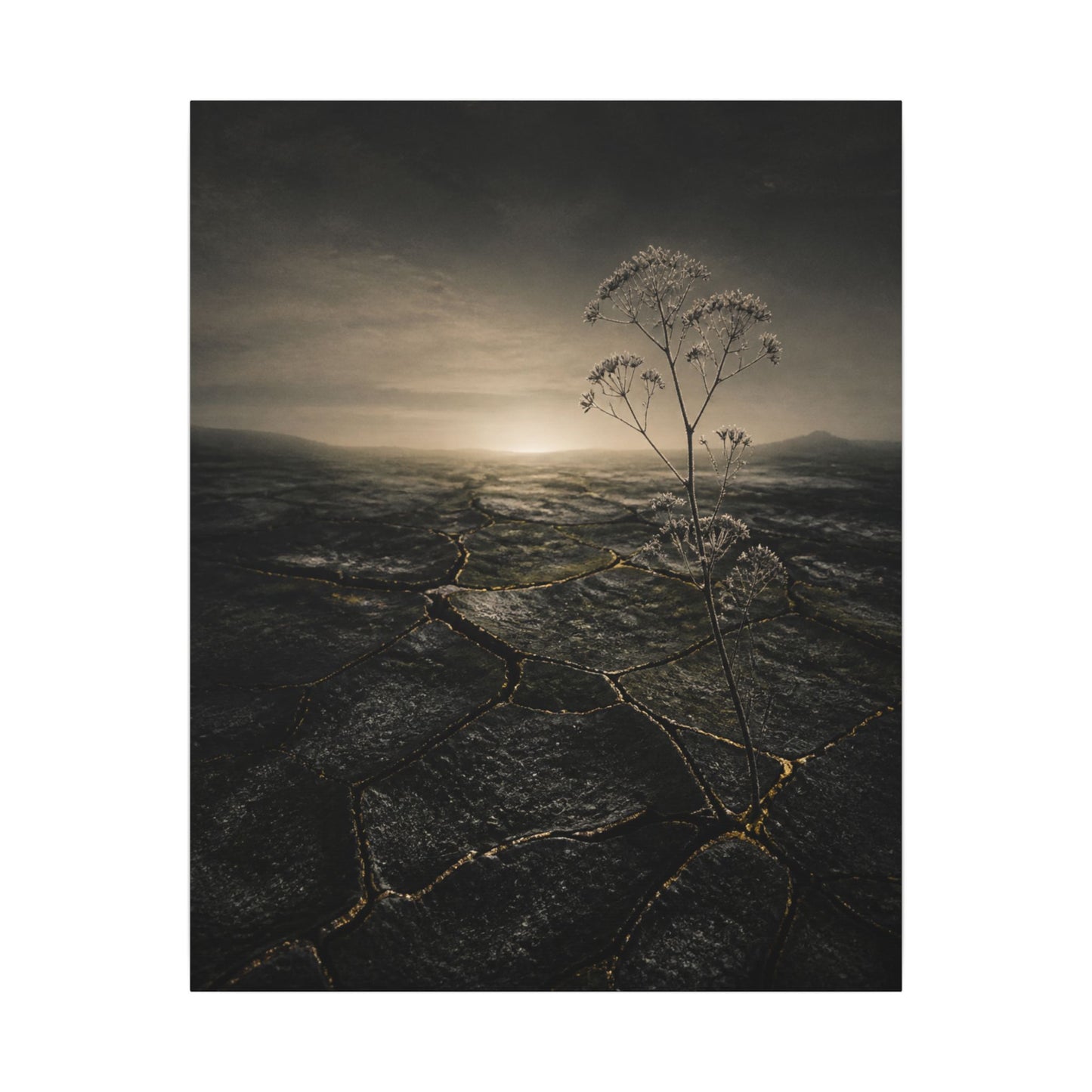 Dawn Cracked Earth Canvas Art - Dark Japandi Mono No Aware