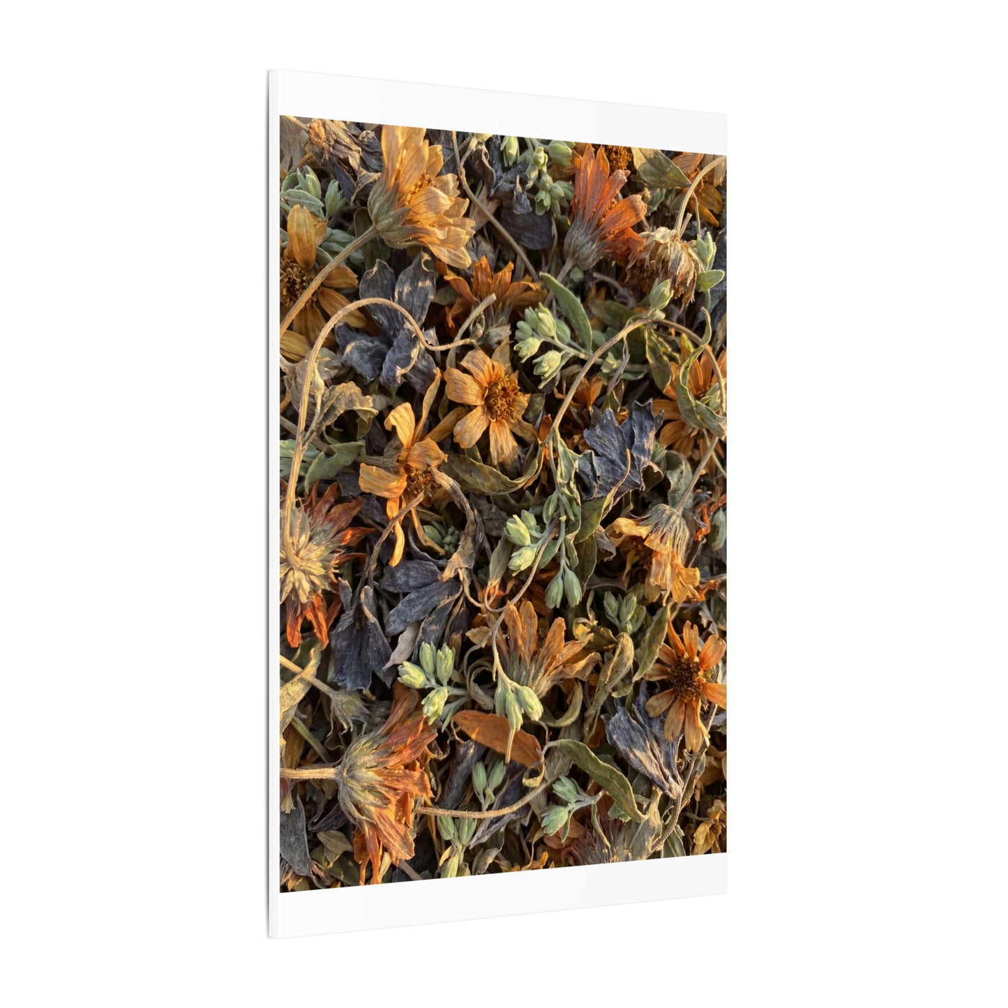 Spring Dried Flowers Japanese Pattern Canvas Art | Warm Decor