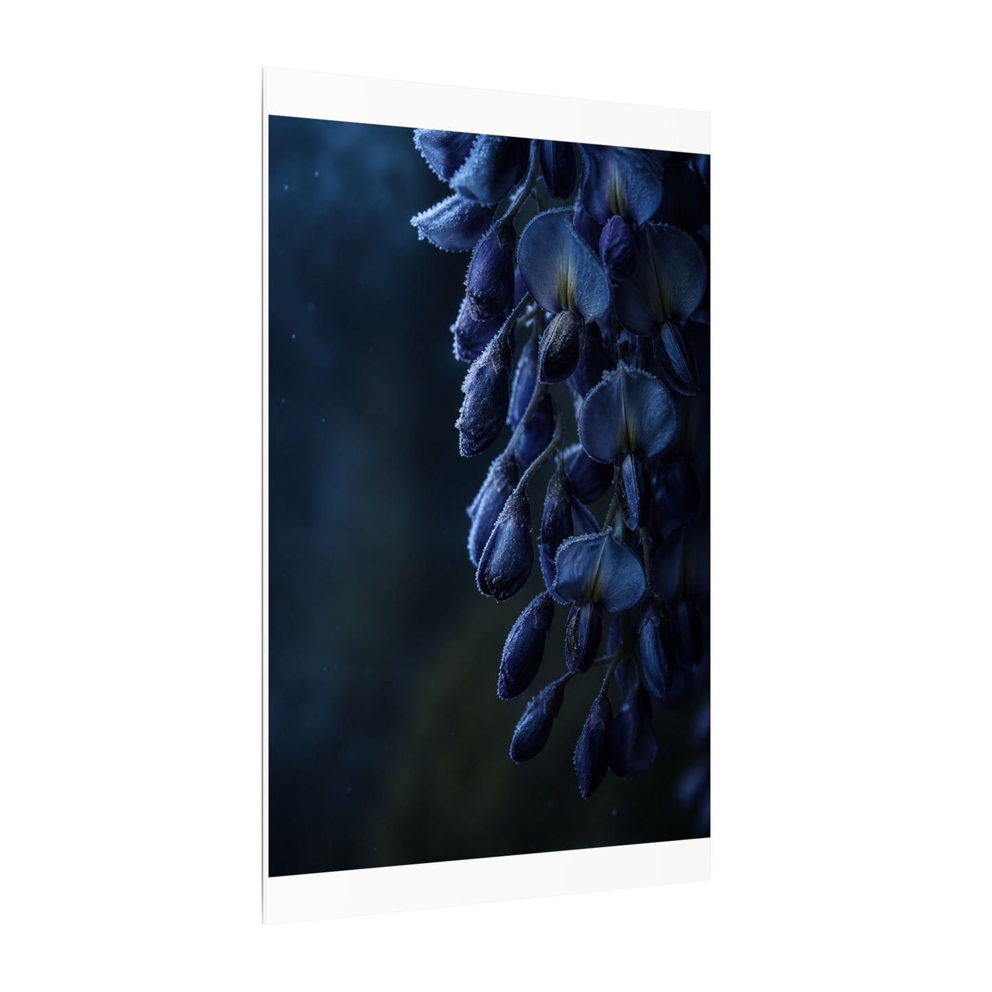Winter Wisteria Shadow Zen Canvas Art | Atmospheric Decor