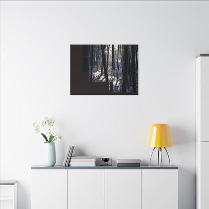 Bamboo Grove Canvas Art | Winter Dark Japandi Moody Minimal Art