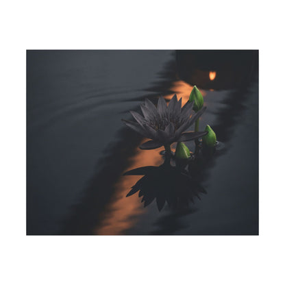 Seijaku Lotus Flower Canvas Art - Dark Japandi Shadow Zen