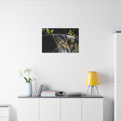 Seijaku Broken Pottery Canvas Art - Dark Japandi Shadow Zen
