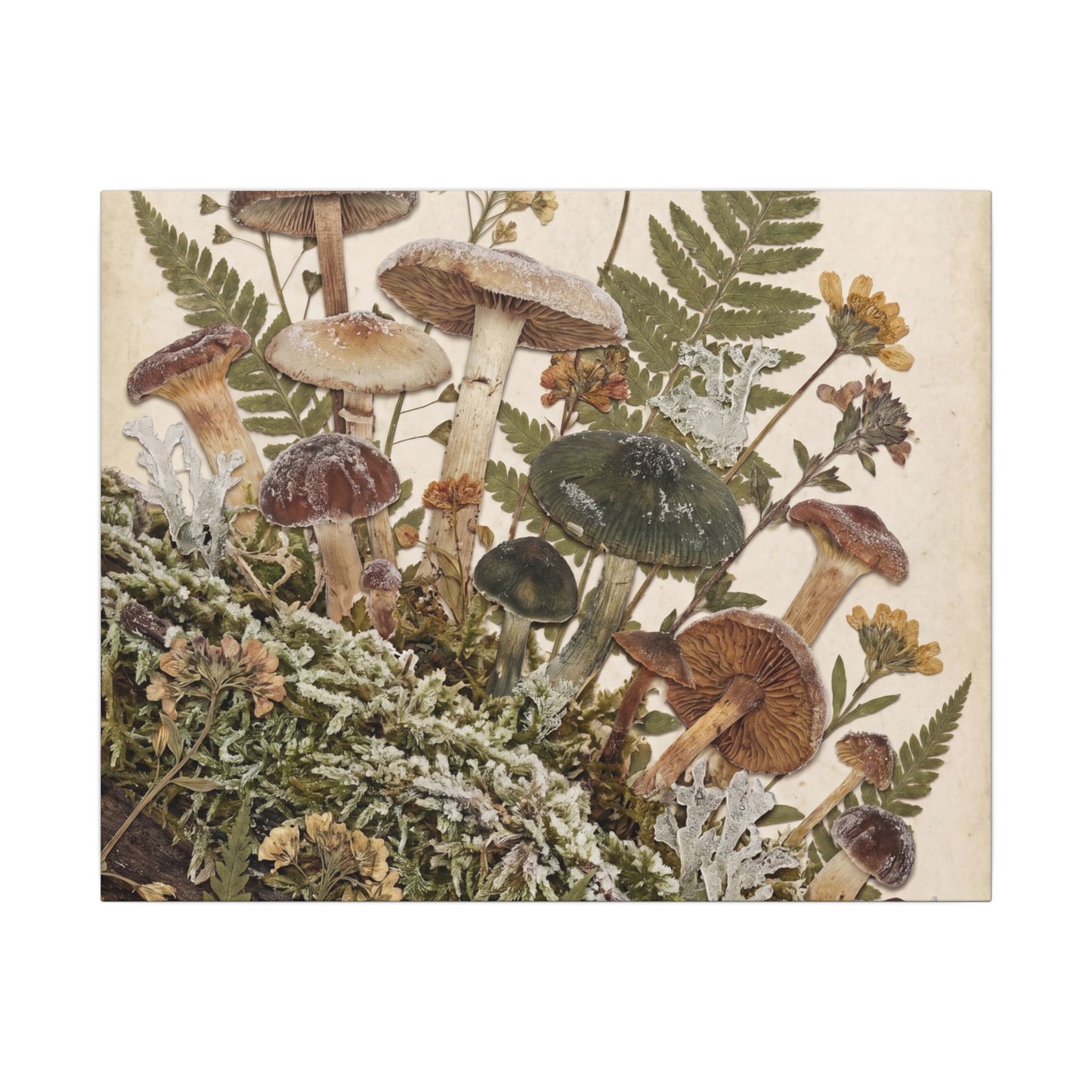 Winter Wild Mushrooms Herbarium Canvas Art | Enchanting Decor