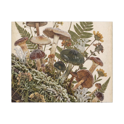 Winter Wild Mushrooms Herbarium Canvas Art | Enchanting Decor