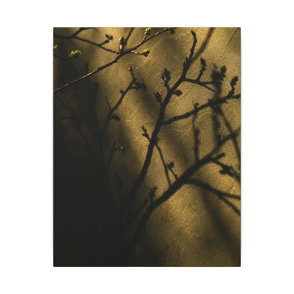 Golden Hour Shadow Play Canvas Art - Dark Japandi Seijaku