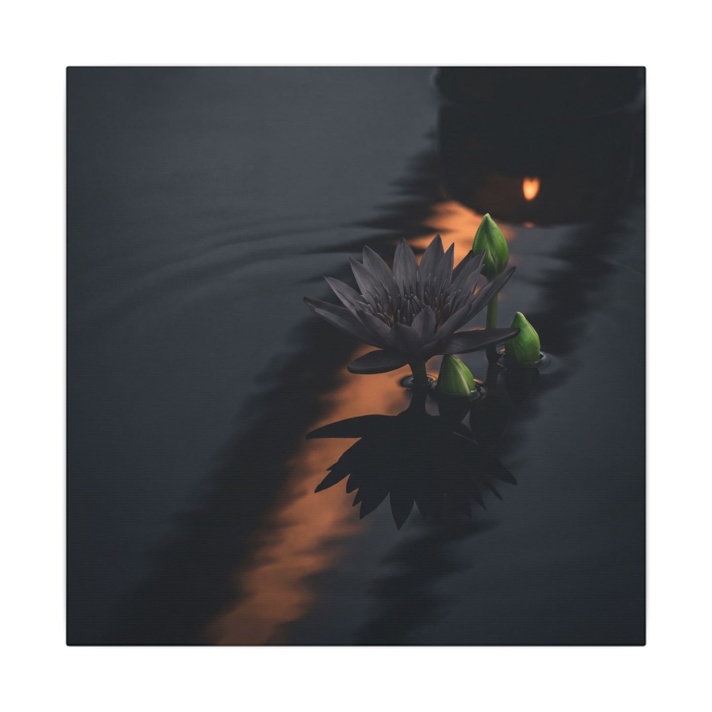 Seijaku Lotus Flower Canvas Art - Dark Japandi Shadow Zen