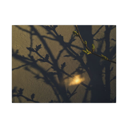 Bold Shadow Play Canvas Art - Moody Minimal Dark Japandi