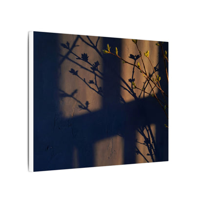 Shadow Play Canvas Art | Spring Dark Japandi Shadow Zen Art