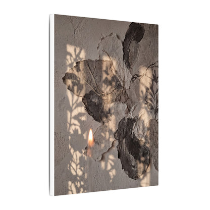 Shadow Play Summer Canvas Art | Japandi Elegant Design