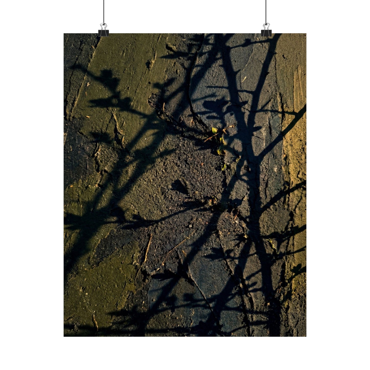 Golden Hour Shadow Play Wall Art Print - Dark Japandi Kanso Art Print