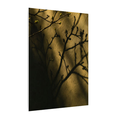 Golden Hour Shadow Play Canvas Art - Dark Japandi Seijaku