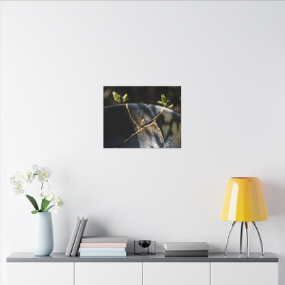 Seijaku Broken Pottery Canvas Art - Dark Japandi Shadow Zen
