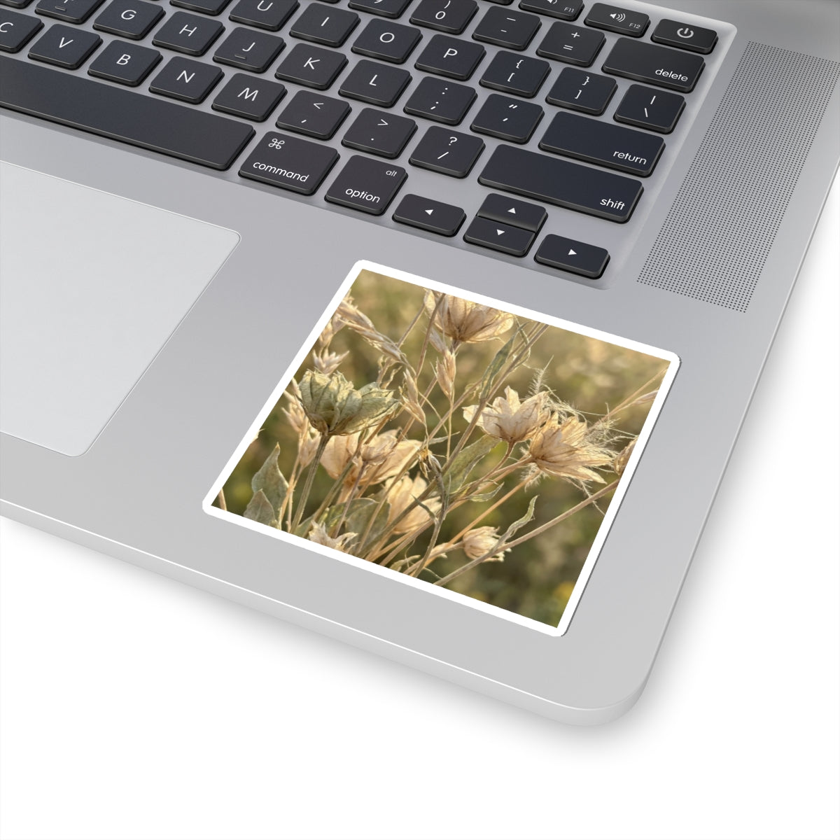 Dried Flowers Summer Sticker | Japandi Elegant Design Art Print